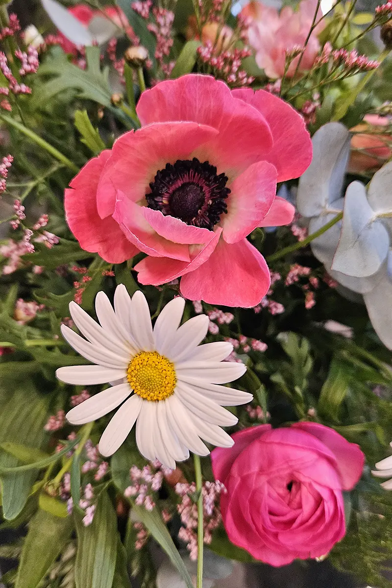 Saisonale Blumenauswahl bei Bluemeria Bäretswil