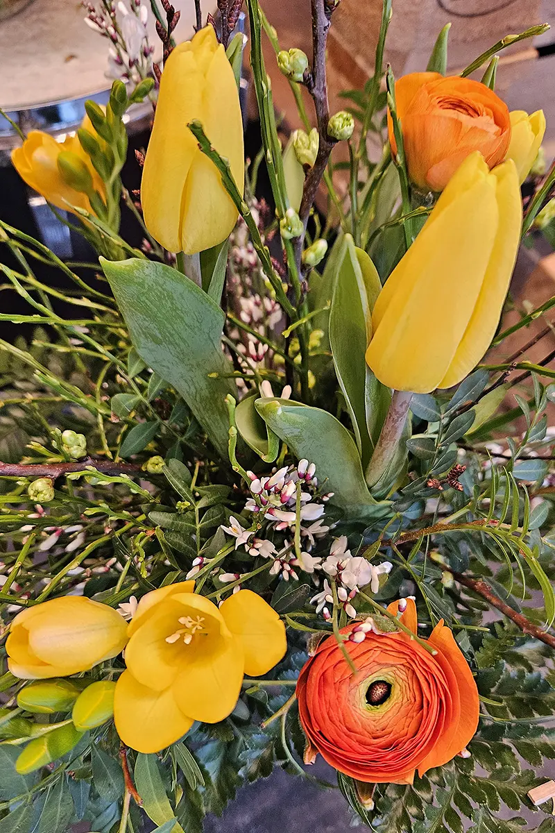 Saisonale Blumenauswahl bei Bluemeria Bäretswil