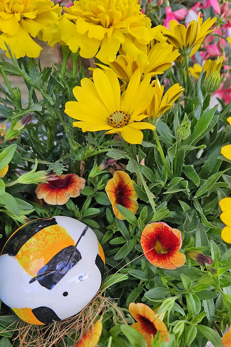 Saisonale Blumenauswahl bei Bluemeria Bäretswil