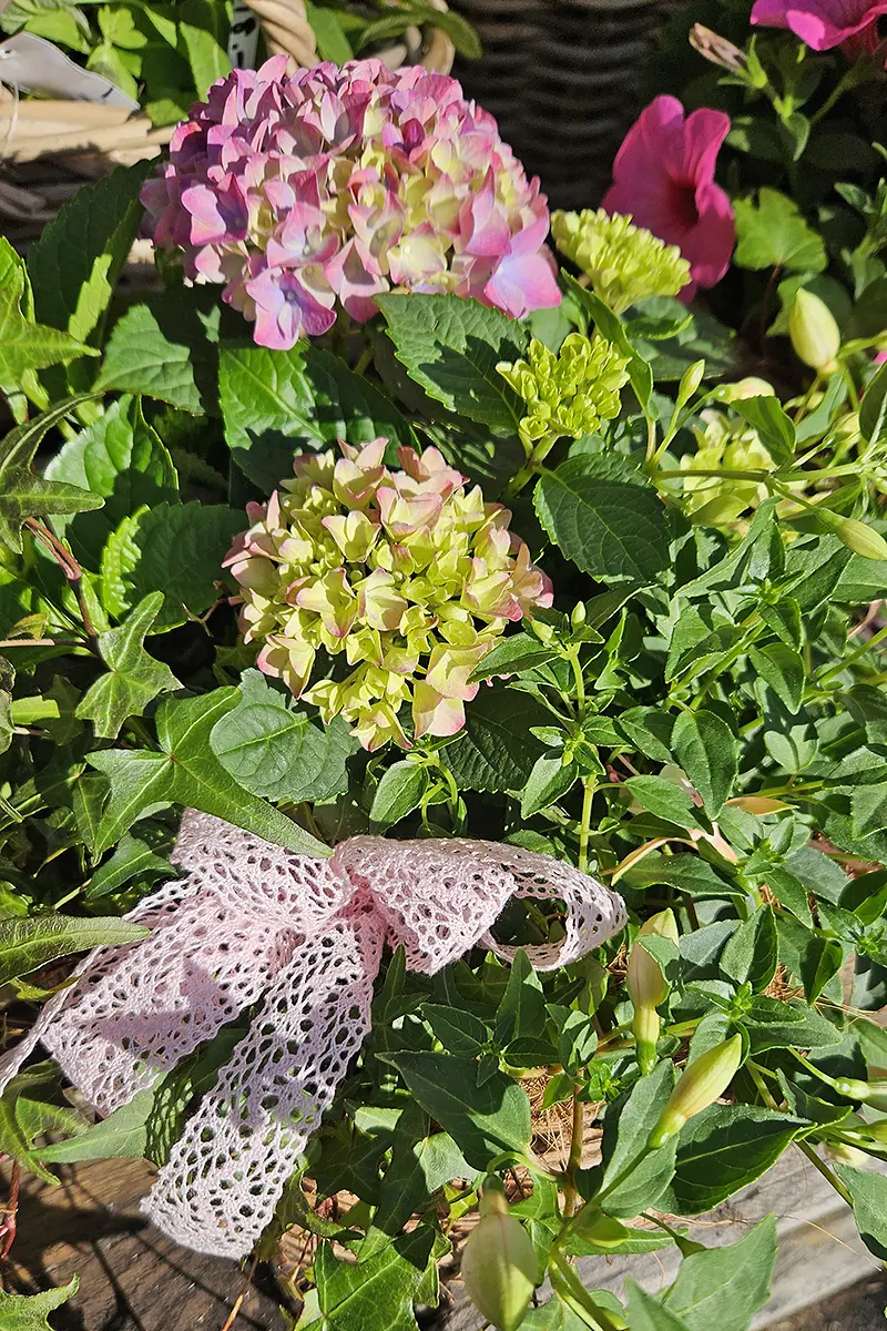 Saisonale Blumenauswahl bei Bluemeria Bäretswil